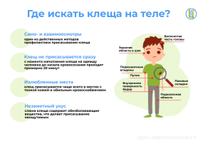 Сезон клещей в 2025 начнется раньше: как защититься и что делать при укусе Сезон клещей в 2025 начнется раньше: как защититься и что делать при укусе.